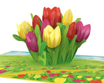 Pop Up Karte Bunte Tulpen - 3D Geburtstagskarte mit Blumen für Frauen, Mutter & Freundin, Gute Besserung und Muttertagskarte, Frühlingskarte