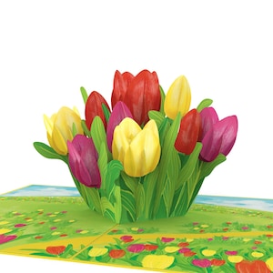 Pop Up Karte Bunte Tulpen - 3D Geburtstagskarte mit Blumen für Frauen, Mutter & Freundin, Gute Besserung und Muttertagskarte, Frühlingskarte