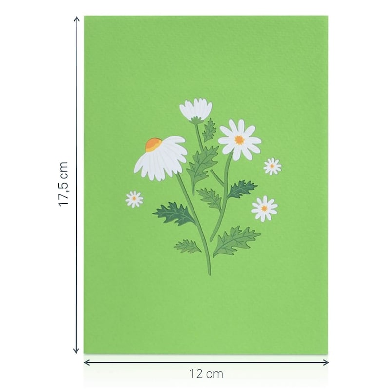 Carte pop-up marguerite avec papillon - Carte d'anniversaire 3D pour femme, mère et petite amie, carte de fête des mères avec fleurs, carte de prompt rétablissement image 6