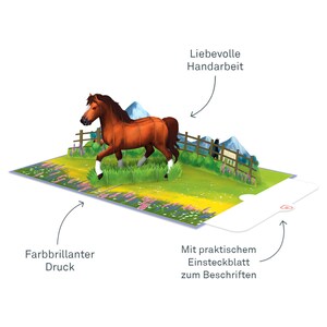 May include: A 3D pop-up card featuring a brown horse standing in a grassy field with a wooden fence. The card has a bright, colourful design and includes a blank insert for writing a message. The card is handmade and features the text "Liebevolle Handarbeit" (Loving Handwork).