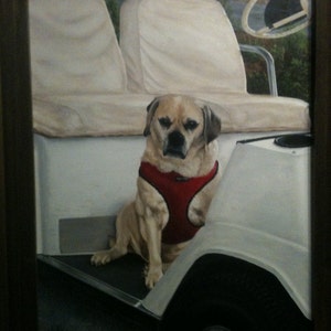 Custom Oil Animal Portraits