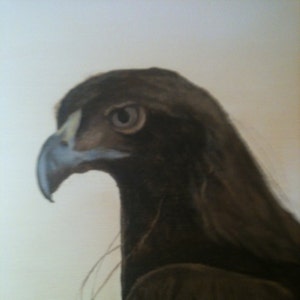 Custom Oil Animal Portraits