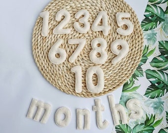 Felt Milestone Numbers, Baby monthly milestone, Countdown Numbers, Baby Month Tracker, Pregnancy gift