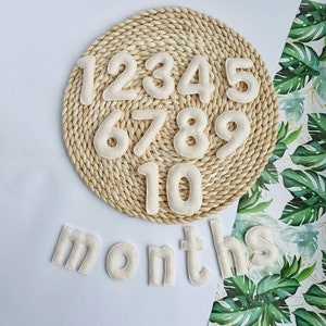 Felt Milestone Numbers, Baby monthly milestone, Countdown Numbers, Baby Month Tracker, Pregnancy gift
