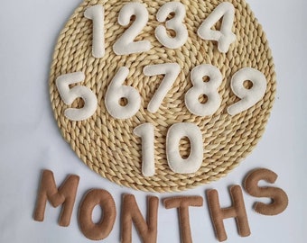 Felt Baby Milestone Numbers, baby monthly milestone, Baby Month Tracker