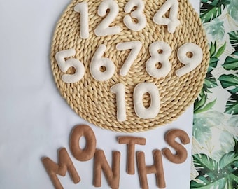 Felt Baby Milestone Numbers, Baby Milestone Cards, baby monthly milestone, Baby Month Tracker, Baby announcement