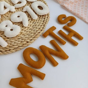 Números de hitos del bebé, regalo de baby shower, hito mensual, regalo para recién nacido