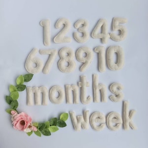 Números de hitos del bebé, bloques de hitos mensuales del bebé, números de cuenta regresiva, seguimiento de meses del bebé, accesorios fotográficos para niños