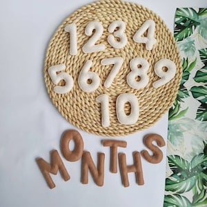 Numeri di pietra miliare del bambino in feltro, carte di pietra miliare del bambino, pietra miliare mensile del bambino, tracker del mese del bambino, annuncio del bambino