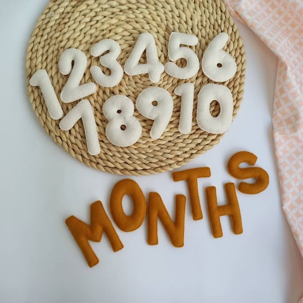 Felt Numbers Etsy