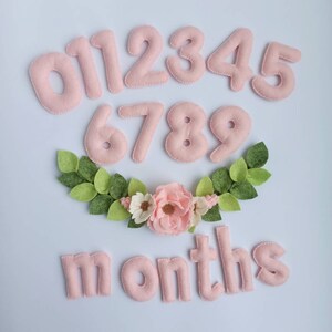 Numéros d’étape, signe d’étape de bébé fille, marqueur d’étape mensuel, numéros de compte à rebours, suivi du mois de bébé, cartes d’étape
