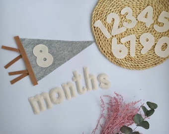 Baby milestone felt pennant, Children's Photo Props, Monthly milestone pennant, Felt Baby Milestone Numbers, Milestone cards