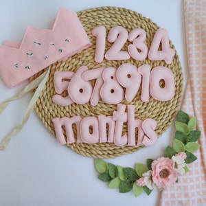 Numéros de jalons en feutre pour bébé fille, coffret cadeau de baby shower, accessoires photo pour bébé fille