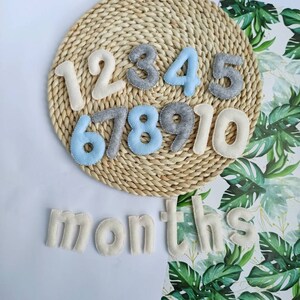 Numéros d’étape de bébé garçon, fanion d’étape, accessoires photo mensuels, suivi du mois de bébé