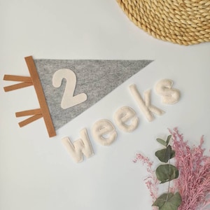 Fanion en feutre, numéros mensuels gris, cadeau pour nouveau-né, accessoires photo pour enfants