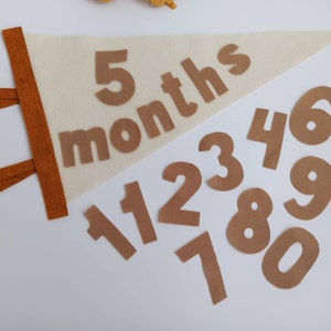 14PCS Felt Baby Monthly Milestone Banners Milestone Signs Pennant Flags Triangle Banner Age Flag Signs Newborn Photos Prop Supplies For Boy Girl First Year Birthday Baby Shower Decor Assorted Color