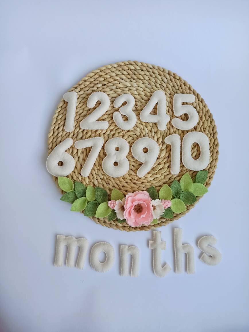 Baby Milestone Numbers, Baby Monthly Milestone Blocks, Countdown ...