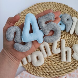 Numéros de repère pour bébé garçon, accessoires photo mensuels, cadeau personnalisé pour baby shower, panneau de repère mensuel gris