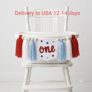 One American Babe Party banner, Stars stripes and lots of fun birthday party, 4th of July 1st birthday, our little firecracker image 3