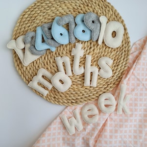 Numéros d’étape mensuels ressentis pour les garçons, cadeaux de baby shower, accessoires photo pour bébé garçon, étape mensuelle bleue