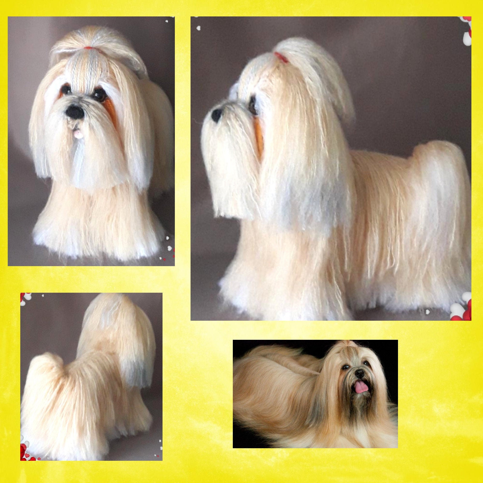 lhasa apso long haired