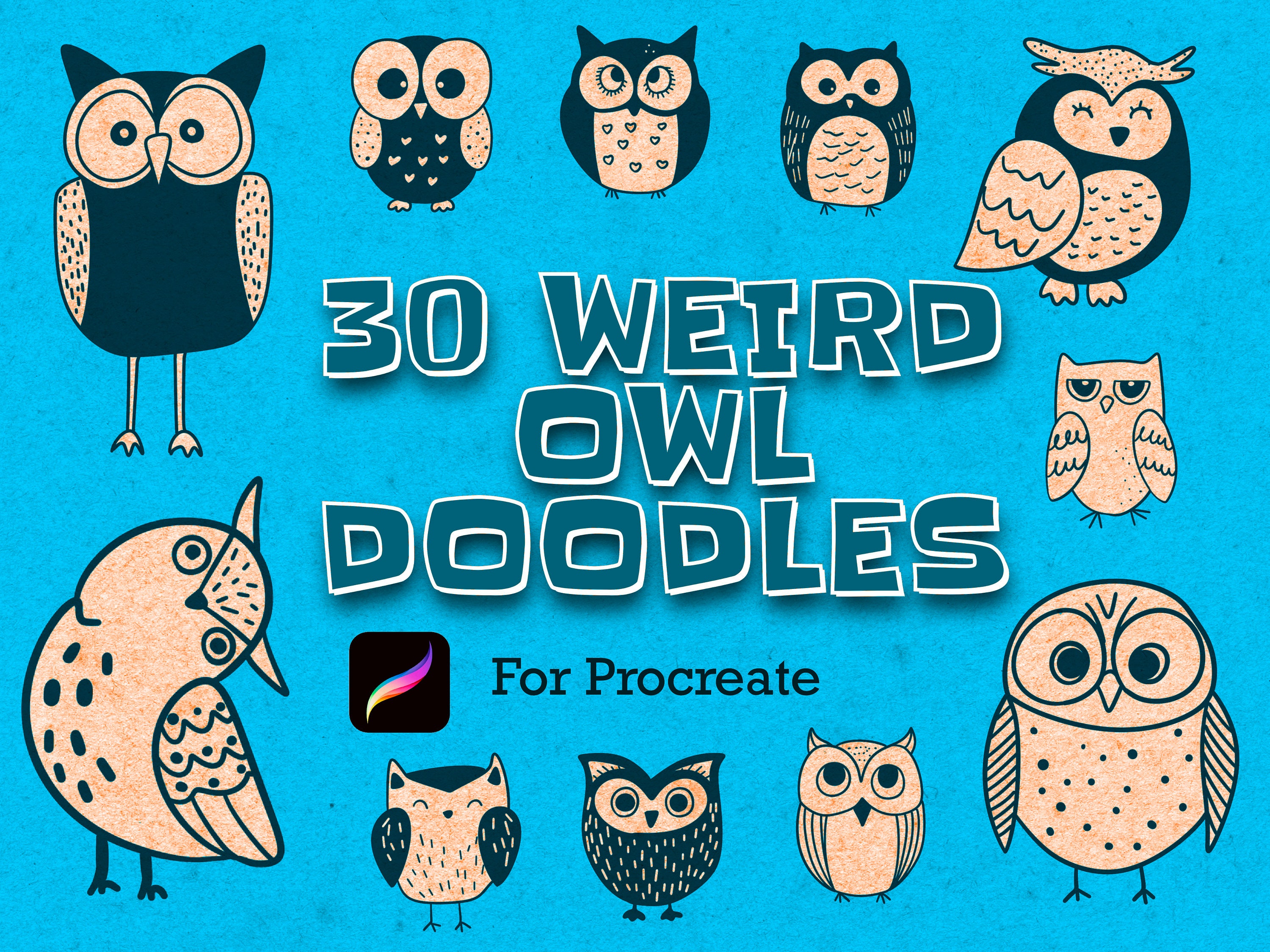 30 Eulen Procreate Stempel + PNGs, Bundle Set, autumn, Whimsical, comic süß Brush Set, wi