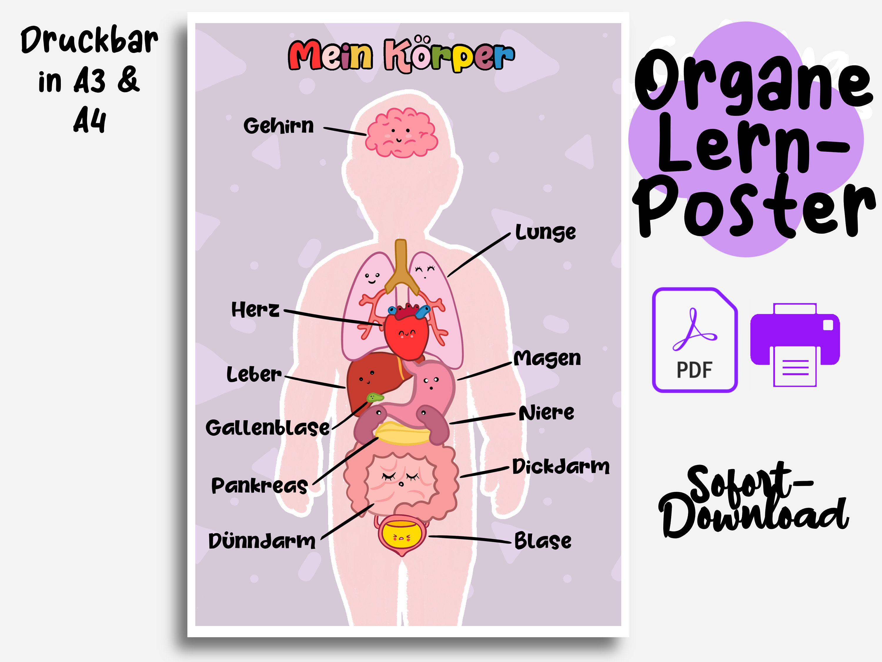 Spijsvertering poster - Etsy België, image size:3000x2250