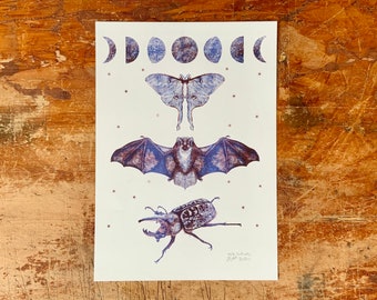 Nocturnal Animals Poster - Etsy UK Nocturnal Animals Poster - Etsy UK