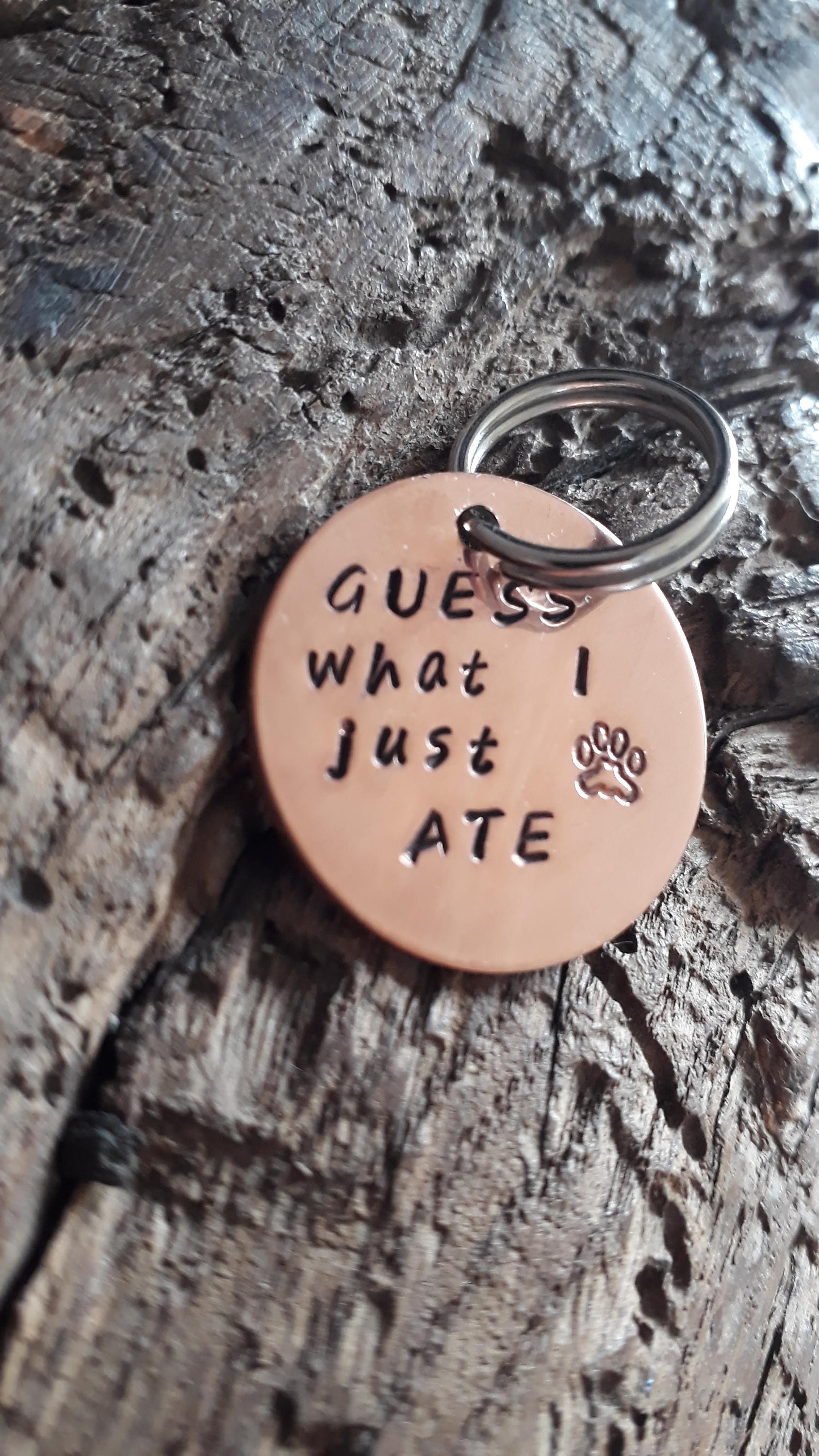 funny pet tags funny pet tags