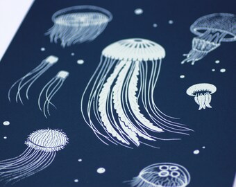 Jellyfish limited edition art print