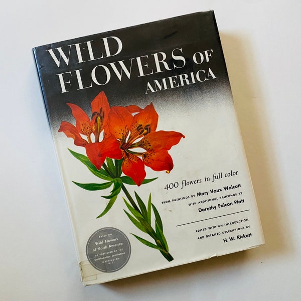 Wild Flowers Book Etsy