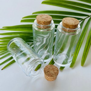 Glass Spice Jars, set of 3