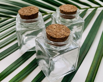 Mini Square Glass Jars with Corks, 2” tall, 3 Piece Set