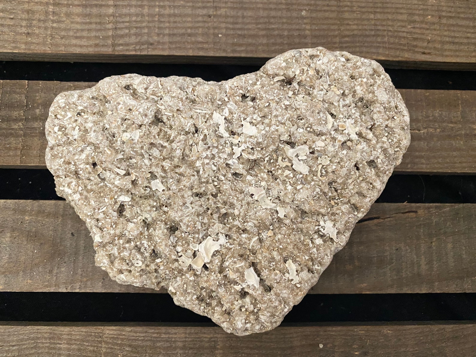 Coquina Rock Slab 6 X 4 X 1 Etsy