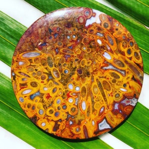 May include: A round, polished gemstone with a complex pattern of orange, yellow, brown, and white. The stone's surface features a network of oval and circular shapes, creating a unique, natural design. The gemstone is set against a backdrop of green leaves.
