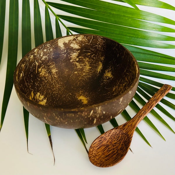 Coconut Bowl with Coconut Spoon