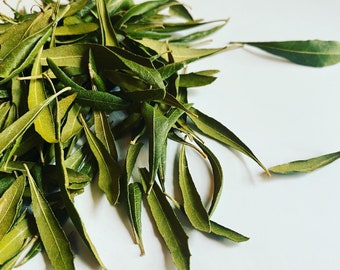 Dried Bayberry Leaves - (Myrica cerifera)