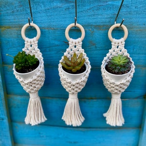 Miniaturowy kosz na rośliny lub sukulenty w stylu makramy / wieszak w stylu woreczka, pojedynczy lub zestaw, wystrój domu w stylu boho, dostępne w wielu kolorach