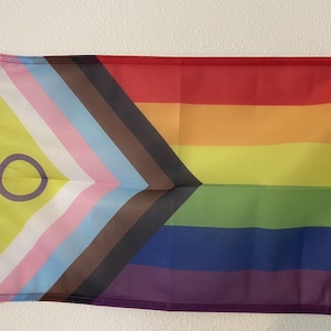 Inclusive Pride Flag 12" x 18"  Pride Flag LGBT