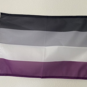 Asexual Pride Flag 12&quot; x 18&quot; Pride Flag LGBT Inclusive Progress