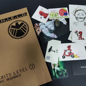 Deadpool File S.H.I.E.L.D. Secret Files Deadpool Cosplay Paper Props Movie Props image 7