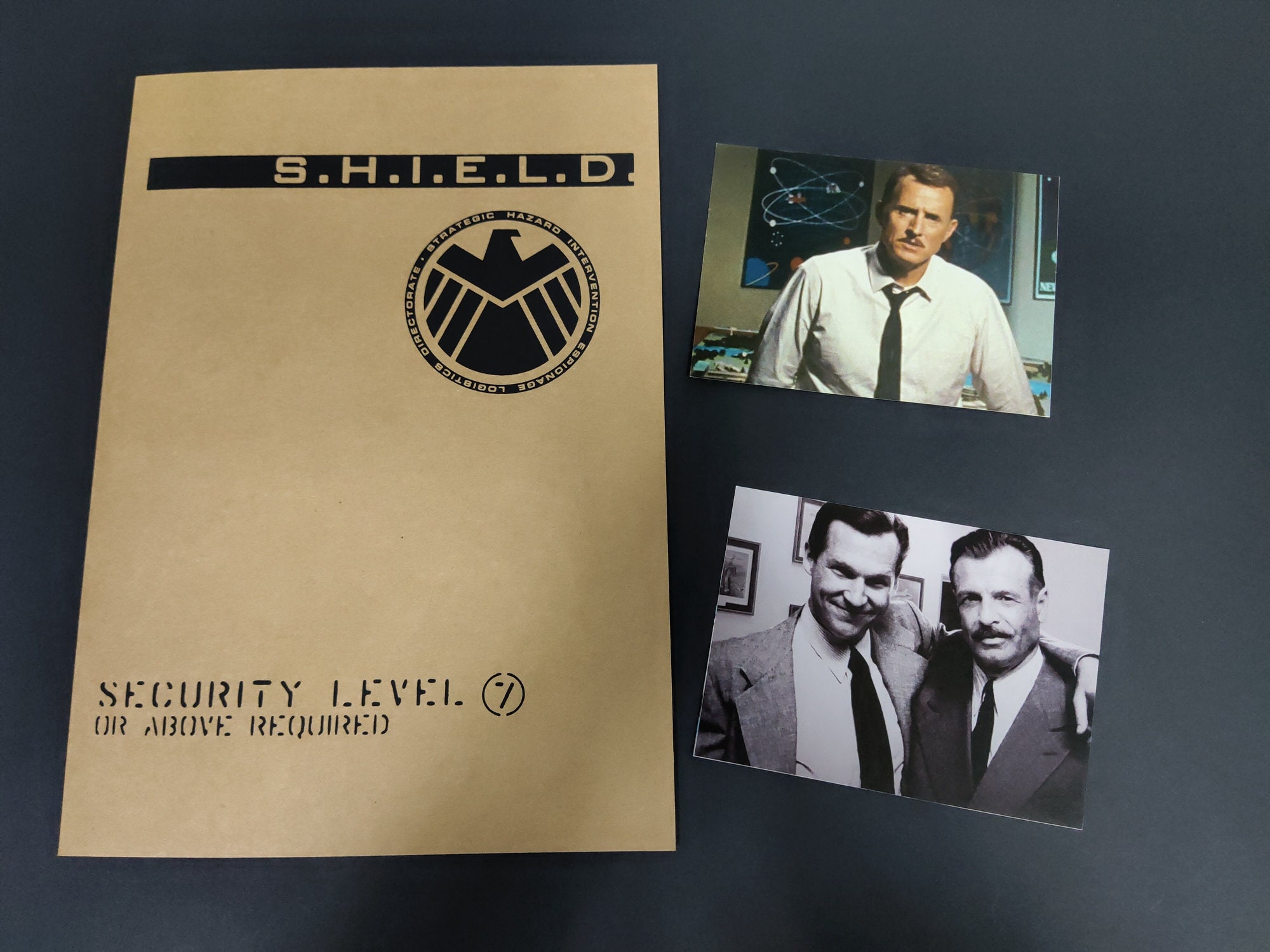 S.H.I.E.L.D File Avengers File Falcon/hulk/black Widow/iron Man/ant-man Top Secret Files MCU Fans Props Paper Props Movie Props