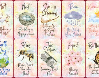 Hello Spring Oracle | 50-Cards