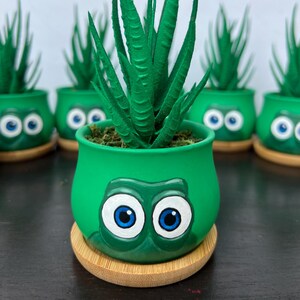May include: A collection of green ceramic plant pots with cartoon-style eyes and a bamboo coaster. Each pot contains a green, spiky succulent. The pots are arranged in a row, creating a whimsical and playful aesthetic.