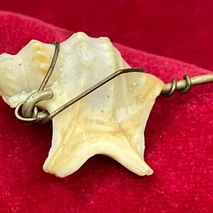 May include: A decorative hair pin featuring a small, off-white, spiraled seashell attached to a thin, metallic, brass-toned wire stem. The shell is secured to the pin with a looped wire mechanism that wraps around the textured, ridged surface.