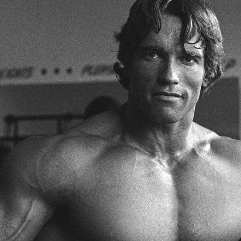 arnold palmer lebron 9