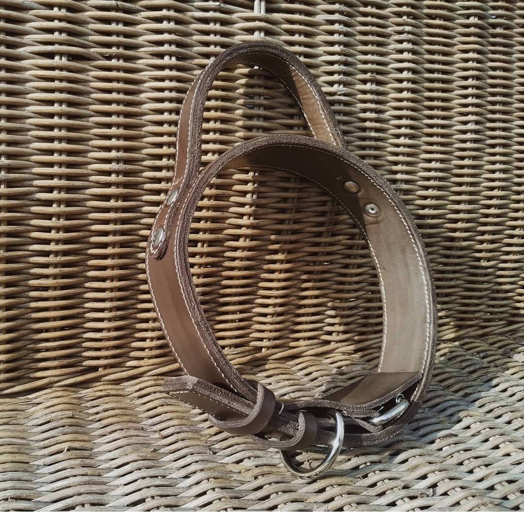 Collier Pour Chien Cuir, avec Poignée