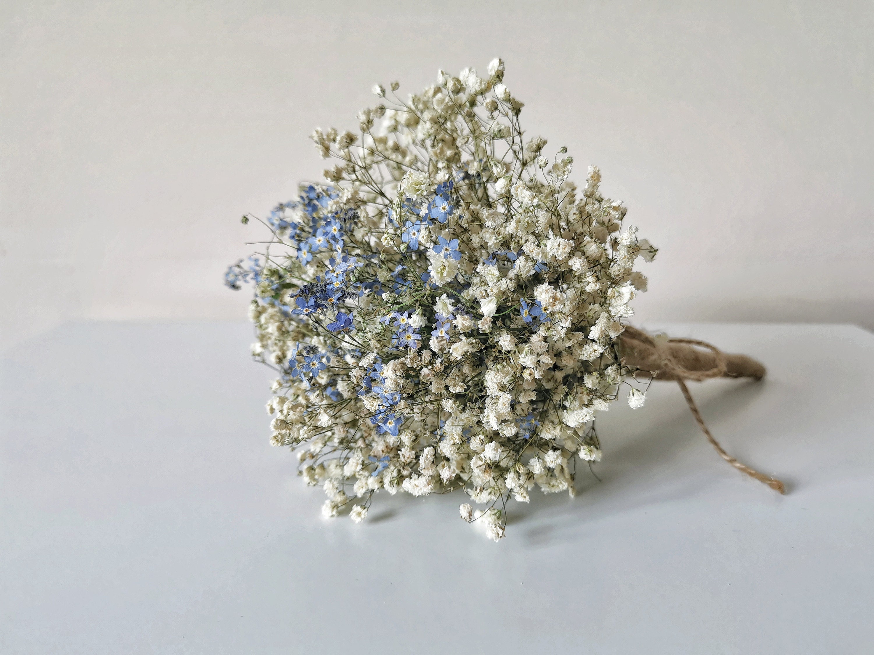 Dried Babys Breath Flowers Bouquet Ivory White Babys Breath Real Flowers  Natural Gypsophila Dried Flowers for Wedding Resin Art Making Home Party  Decor (10 Pcs) 