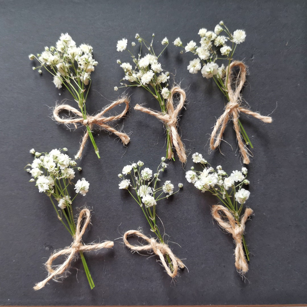 5 Bunch Real Dried Flowers Baby's Breath, Wedding Dried Flowers, White ...