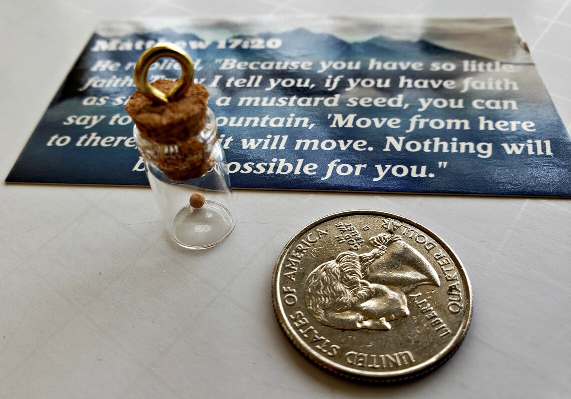 4 Pack Mustard Seed Bottle with Card and Scripture Verse 4 Etsy